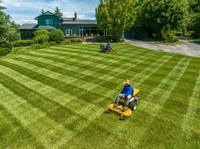 490466081_1337242257853125_379275376552930541_n